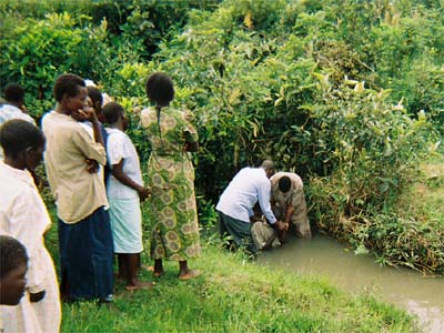 The baptism